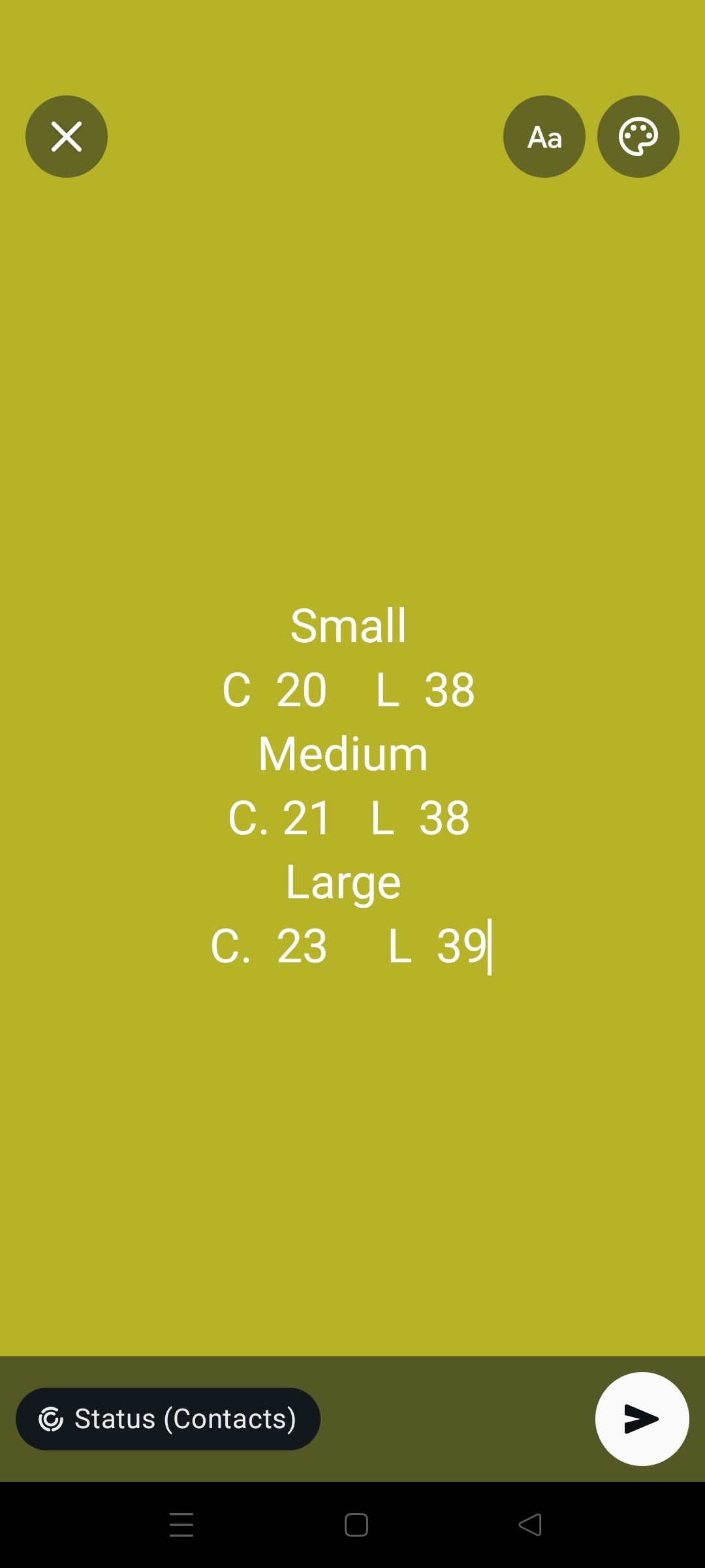 Sapphire printed 2 pc shirt and trouser