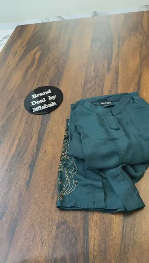 Tessa stitched 2 pc embroidered