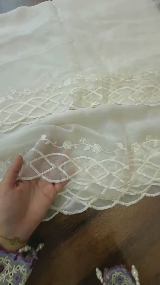 Chiffon embroidered dupatta dyeable 2 sided embroidery