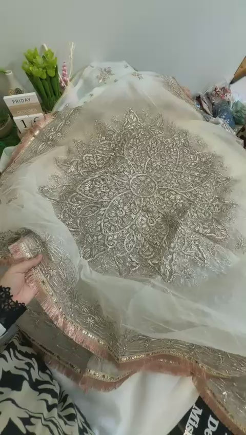Hand gotta embroided luxury formal pure tissue organza dyeable 2 pc code E