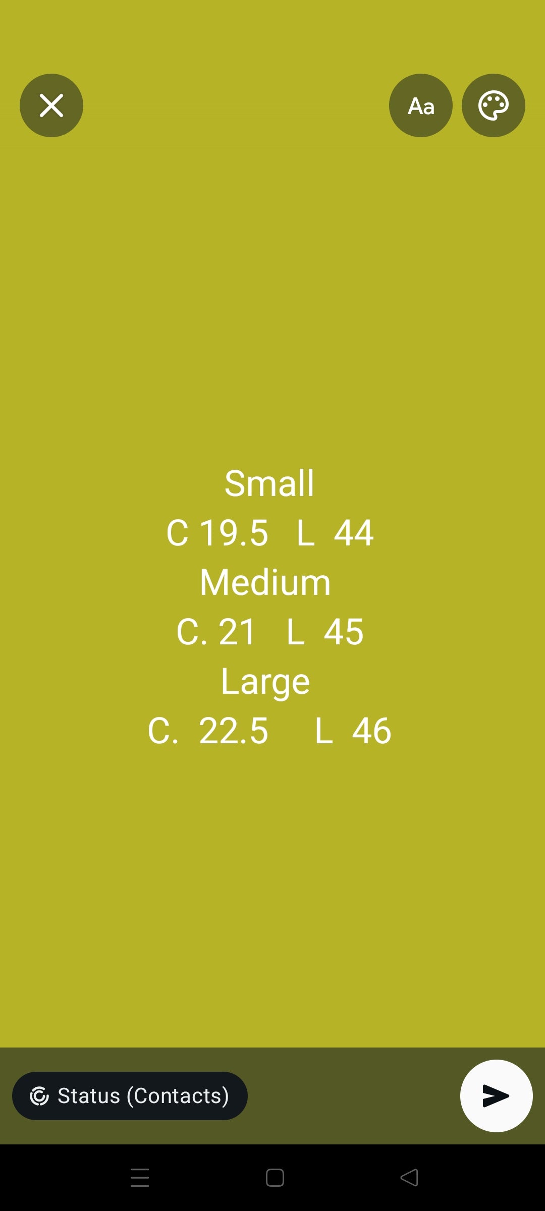 Sapphire  printed winter 2 pc