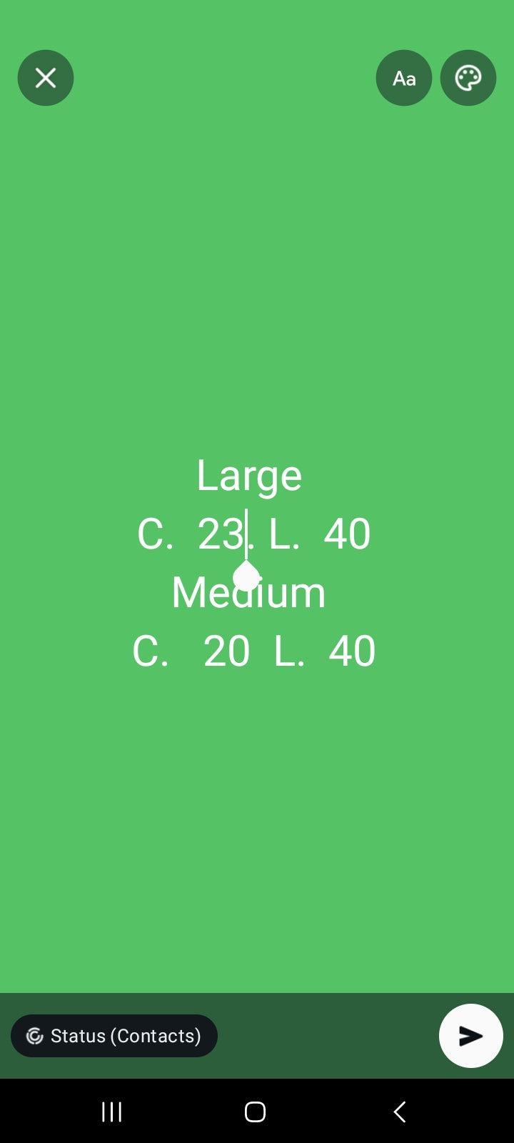 Bin saeed embroided winter 3pc