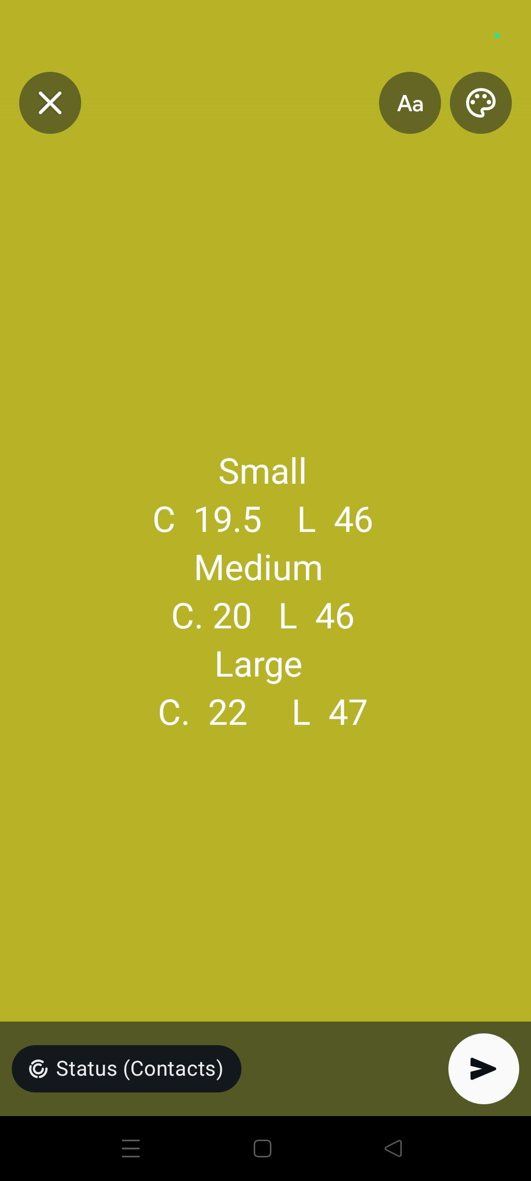 Sapphire printed winter 3 pc